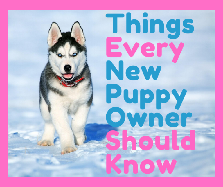 How Do I Stop My Puppy From Pooping In His Crate At Night