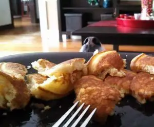 dog begging for owner's food